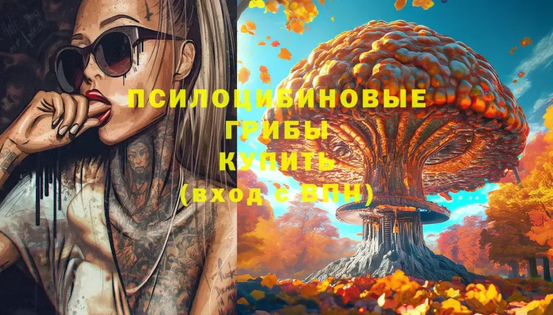 Где купить наркоту Можга Кокаин  KRAKEN   Псилоцибиновые грибы  Каннабис  Амфетамин  А ПВП 